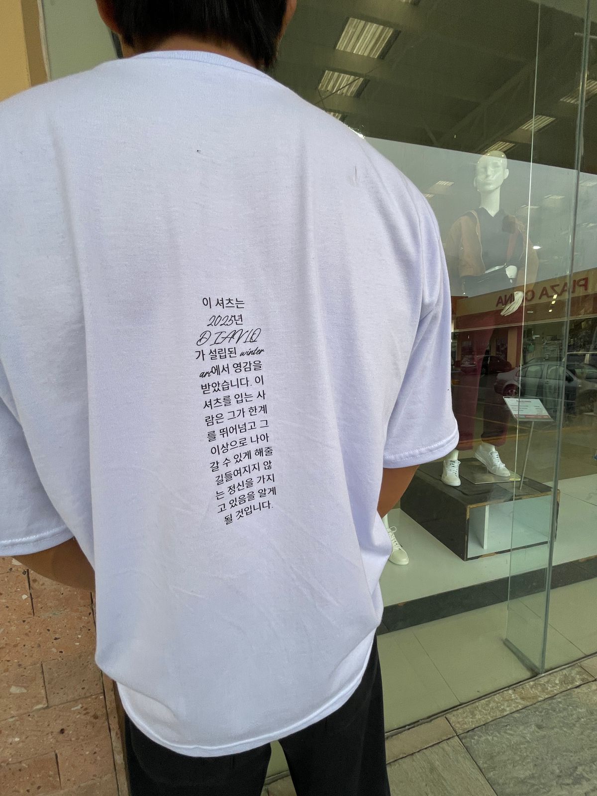 Camiseta Oversize Winter Arc Taekwondo